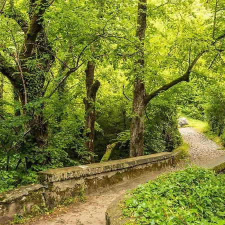 La Bordeta Serena - Casa Tono Apartment *